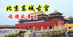 国产逼中国北京-东城古宫旅游风景区